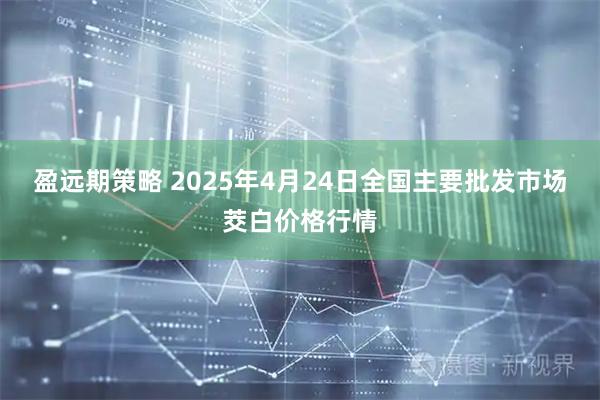 盈远期策略 2025年4月24日全国主要批发市场茭白价格行情